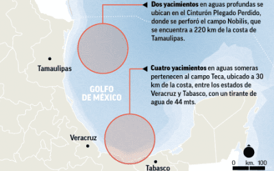 Revelan seis yacimientos de petróleo