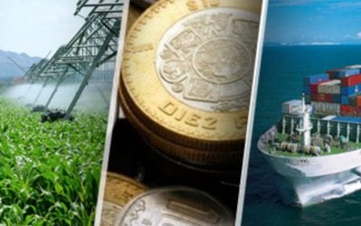 Panorama Económico en México