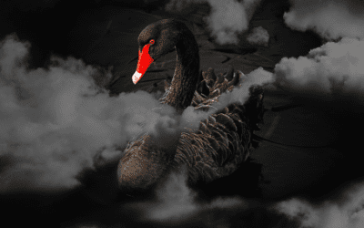 10 ‘cisnes negros’ para la economía en 2017