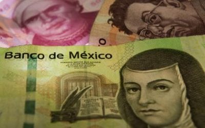 Propone IP plan para 2017