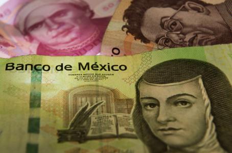 Propone IP plan para 2017