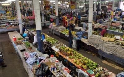 Inflación se elevará a 5.56% en 2017: Encuesta Banxico