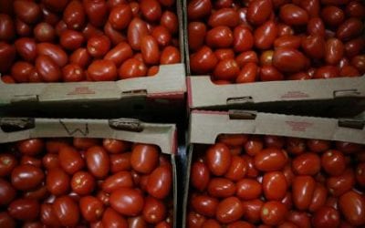 Inflación de mayo, la más alta en más de 8 años
